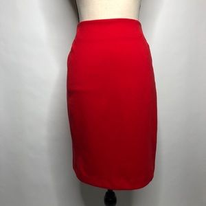 New York & Company Skirt